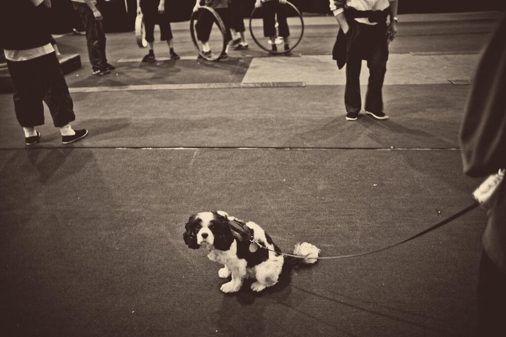 UnniRav_Photography_CircusCenter_SanFrancisco_08